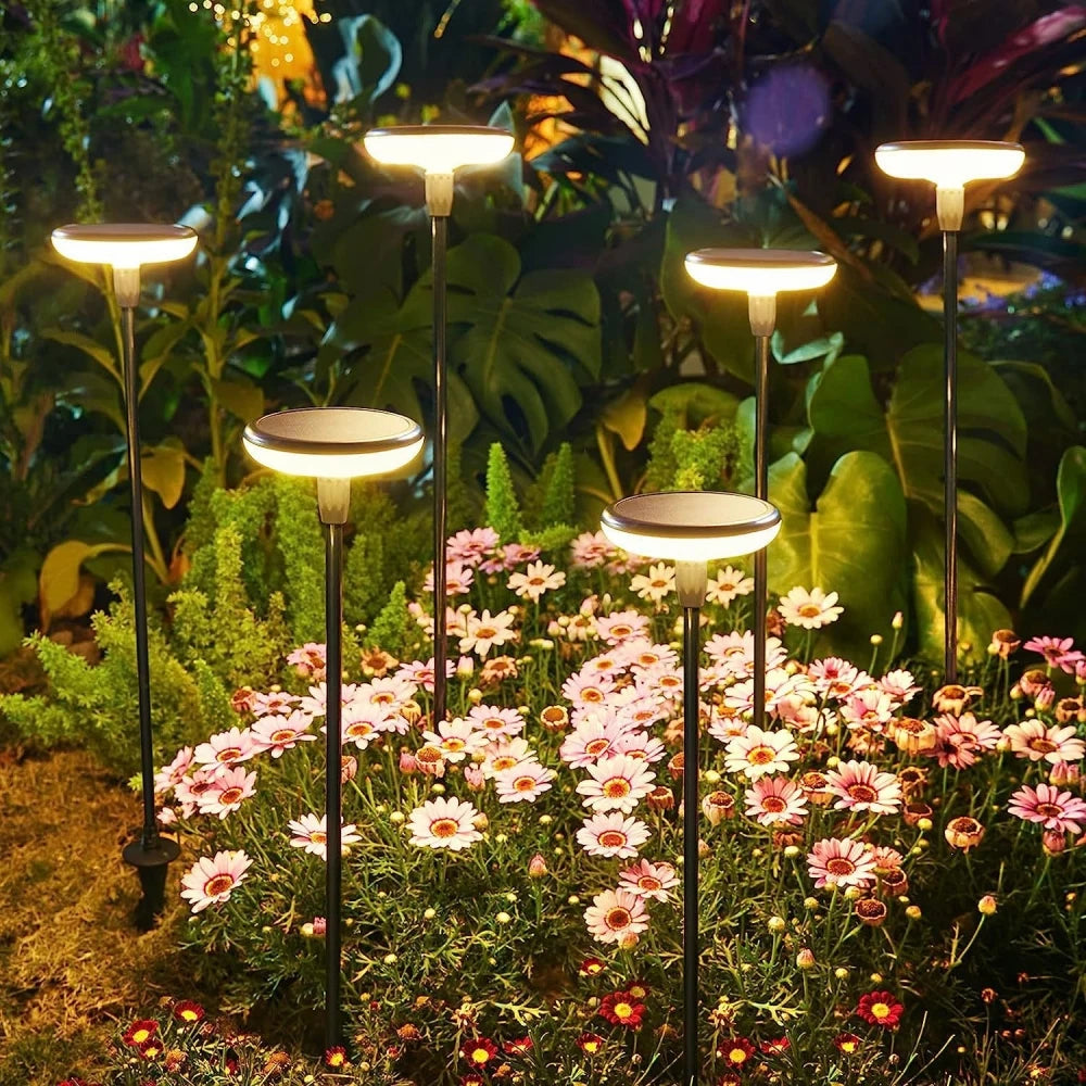 Solar Powered Pathway Lights