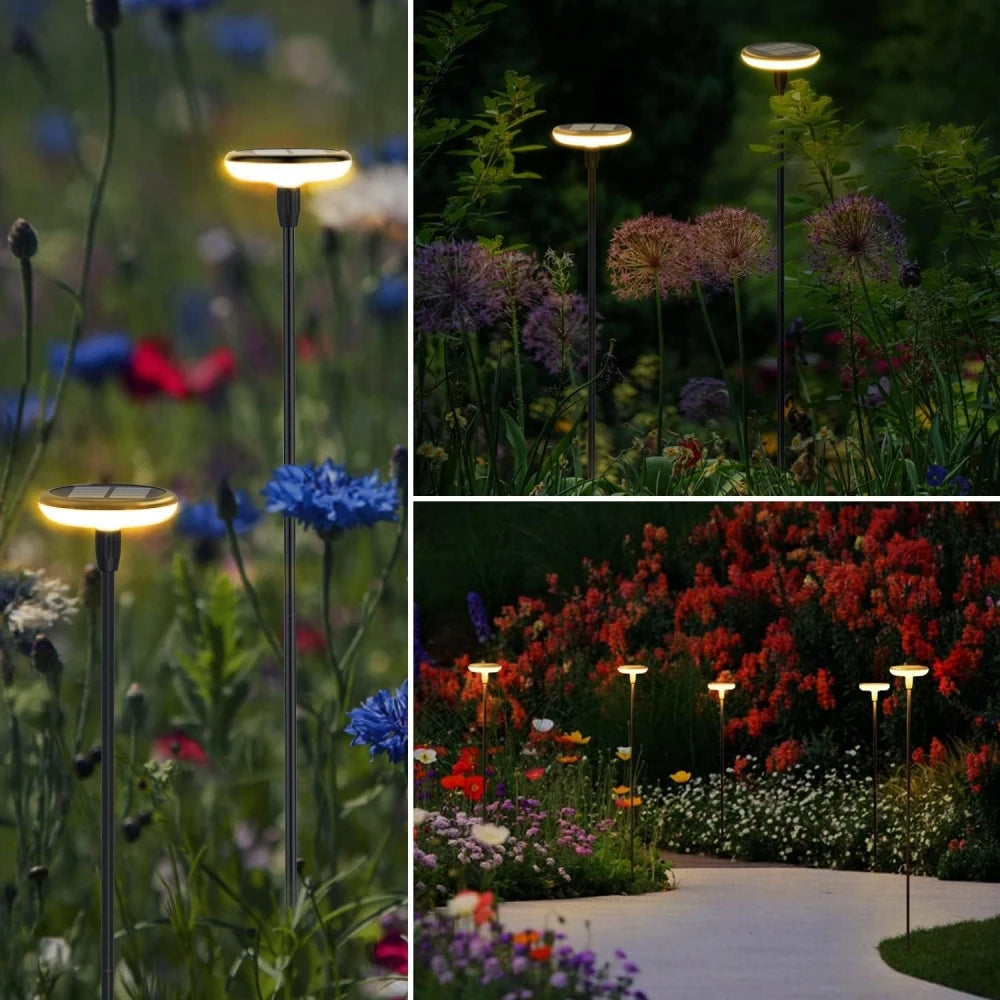 Solar Powered Pathway Lights
