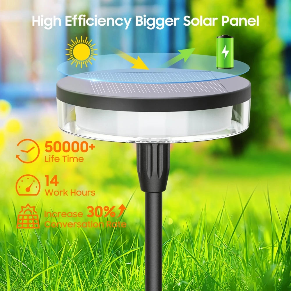 Solar Powered Pathway Lights
