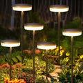 Solar Powered Pathway Lights